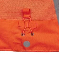 Icebreaker SHELL+ HOODED JACKET Damen - Softshelljacke -Globetrotter Kleidung Geschaft 5637954397 f shell hooded jacket icebreaker 24