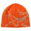Arc'teryx BIRD HEAD TOQUE Unisex - Mütze 2 Arc'teryx BIRD HEAD TOQUE Unisex - Mütze -Globetrotter Kleidung Geschaft 5638017048 a bird head toque arc teryx 24